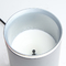 450W Automatic Milk Steamer Machine Stainless Steel Electric Milk Frother